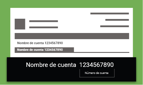 Account Statement_es